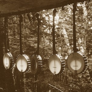 Banjos at Fox Hollow